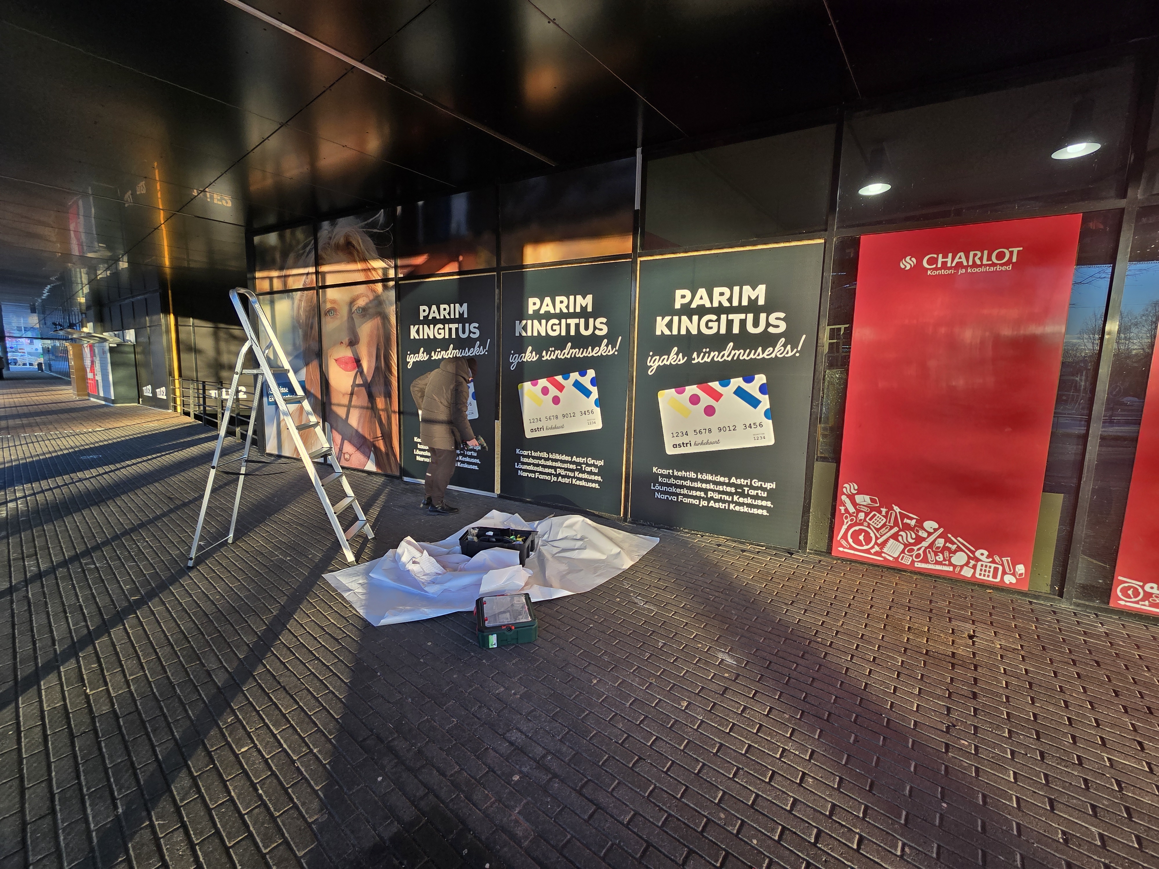 Astri and Charlot window graphics